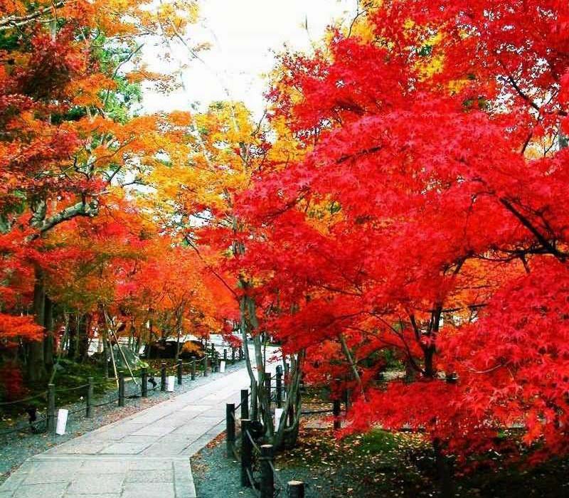 ����|��ɽ��԰