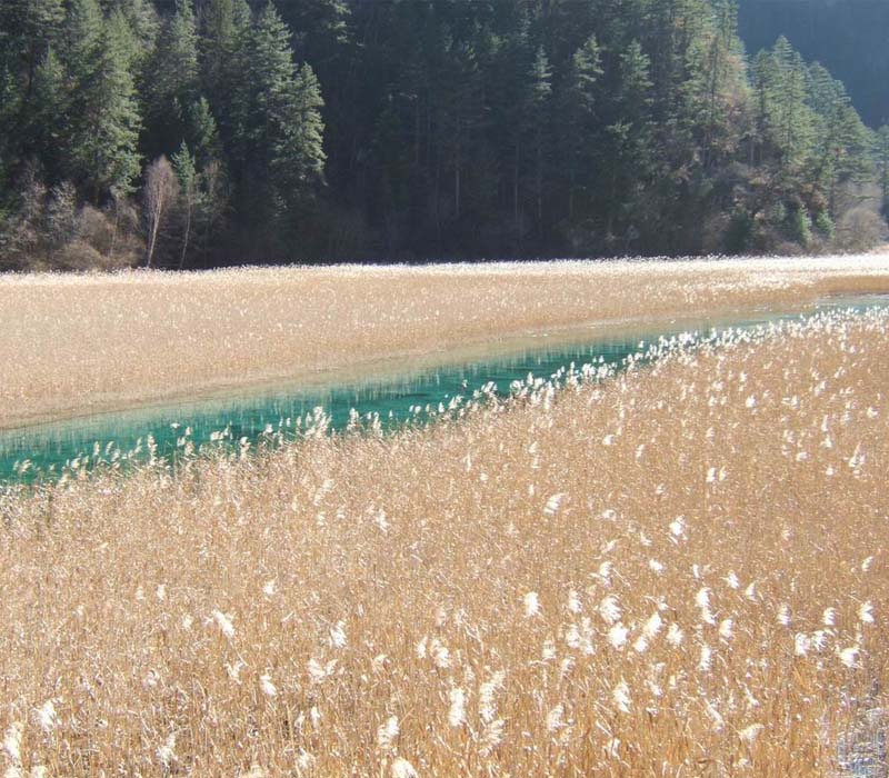 �Ĵ�|��կ��|«έ��