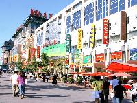 北京|王府井商业步行街